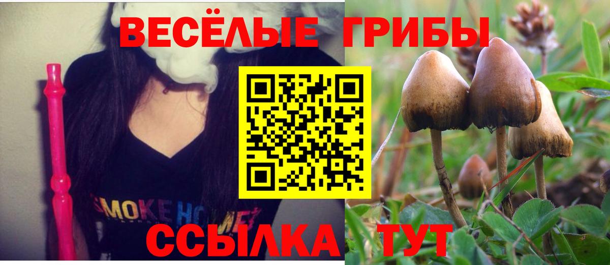 Псилоцибиновые грибы мухоморы  Вход с VPN  Аша 