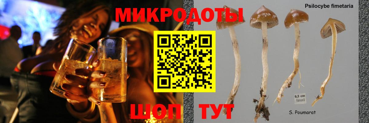 Псилоцибиновые грибы мухоморы Аша